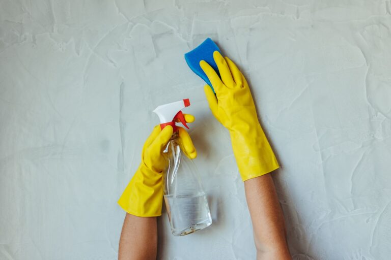 Como Evitar e Limpar Mofo em Casa: Guia Completo para um Ambiente Mais Saudável